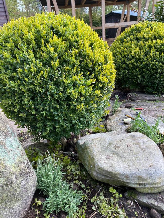Nordseevilla Jade Schweiburg المظهر الخارجي الصورة